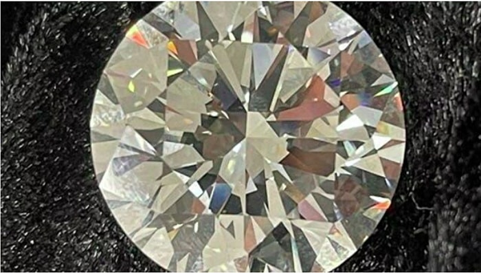 Женщина случайно нашла у себя дома бриллиант стоимостью 2,7 миллиона долларов