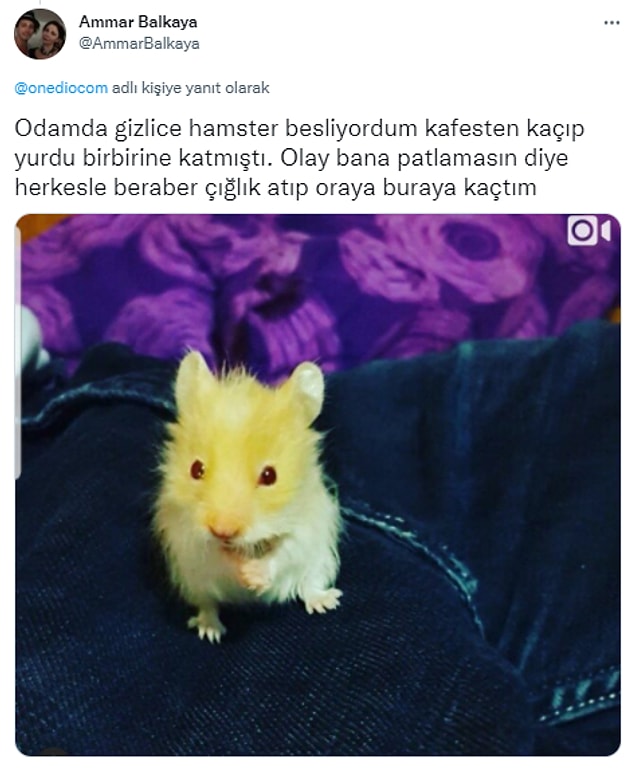 4. Bu minik yüzünden savaş alanına dönmüş ortalık 😂