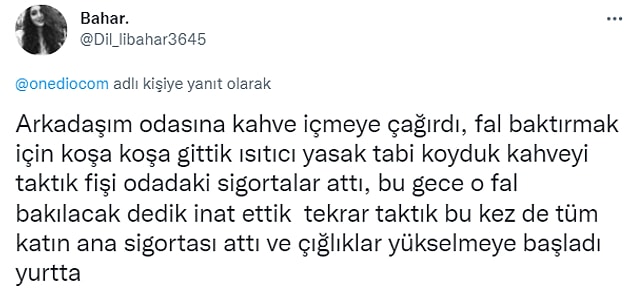19. Her şey o fal için!!!