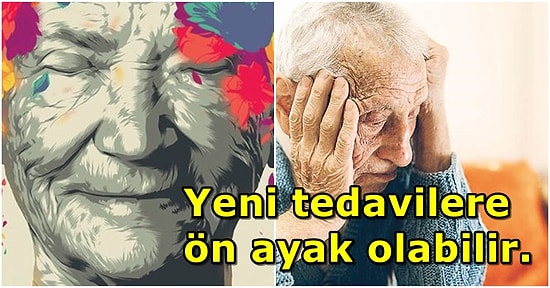 Yeni Tedaviler İçin Bir Umut Işığı: Bilim İnsanları Alzheimer'ın Beyinde Nasıl İlerlediğini Buldu