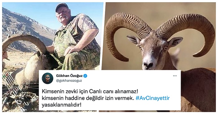 Tarım ve Orman Bakanlığı'nın İhalesi Sonucu Amerika’dan Gelen Vatandaş Yaban Keçi Avına 500 Bin Lira Ödedi!