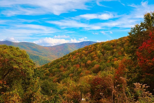 7. Blue Ridge Dağları - Kuzey Carolina: