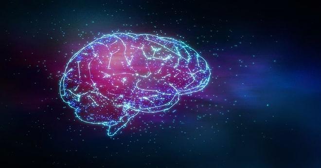 Ebru Şinik Yazio: Beyin Nöroplastisitesi Nedir? Yaşamımızı Nasıl Etkiler?
