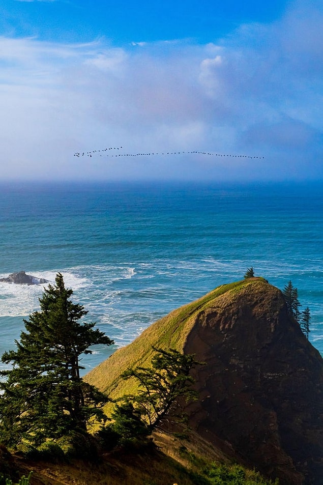12. "Sis az önce dağıldı. Oregon Sahili'nden God's Thumb bölgesi."