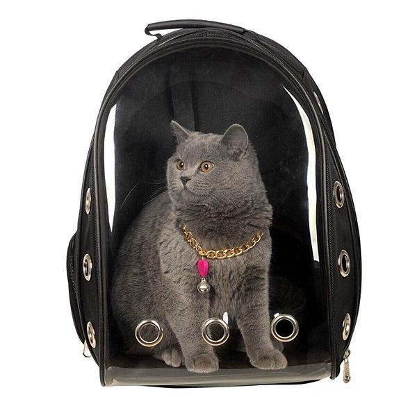 12. Kırılmaz kedi taşıma çantası.