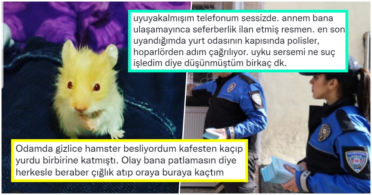 s-12680ec1c602c055a5a24bee30b5bbf2bf3edbb9.jpg
