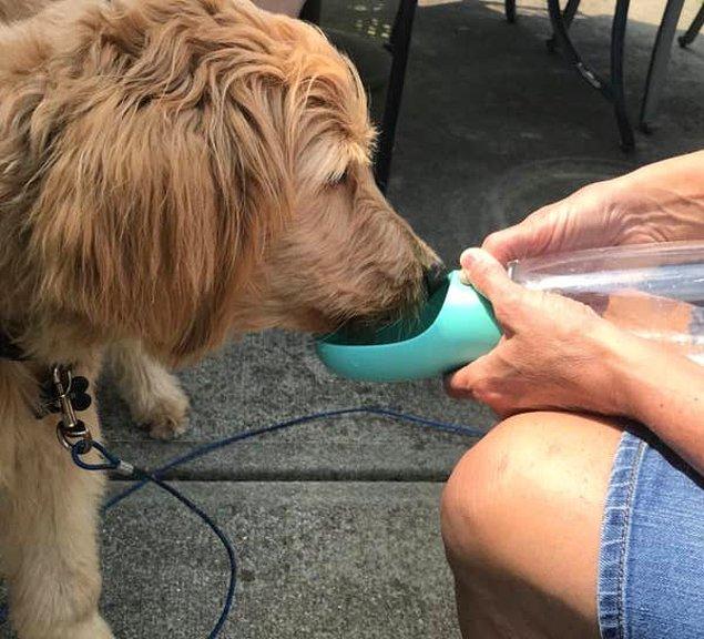 19. Seyahatleriniz esnasında özellikle yaz aylarında köpeğinizin su içeceği bir alan bulmak zor olabilir.