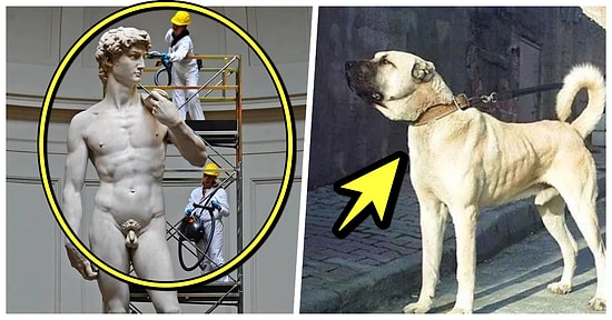 Akranlarıyla Karşılaştırıldıklarında Sahip Oldukları Devasa Boylarla Herkesi Şaşırtan Büyük Canlı ve Objeler