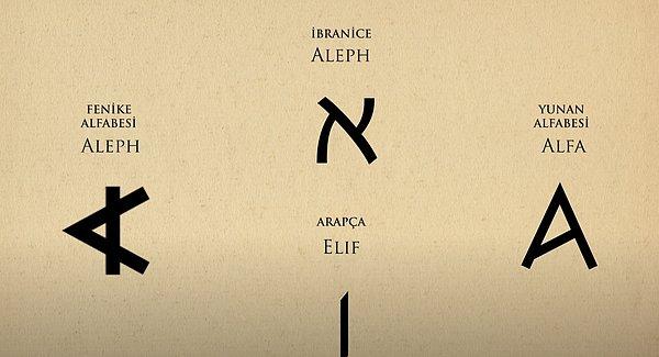 Fenikeliler'in Alef dediği A harfi Arapçada Elif'e dönüşmüştü, Yunanlılar da yıllar içindeki bu değişimi birleştirip Alfa'yı yaptılar.