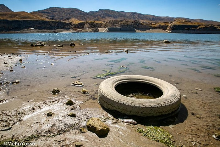 12 Bin Yıllık Hasankeyf'in Yeni Çehresi: Atık Lastikler, Ölü Balıklar...