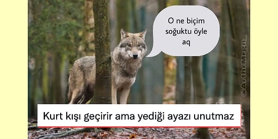 Her Ne Yapıyorsanız Bırakıp Okumanız Gereken Haftanın En Komik 23 Tweeti