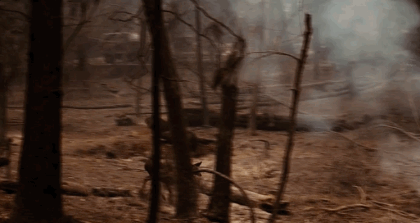 Yangınlar insanların evlerini, yuvaları olan ormanlarını, işlerini yıktı geçti.