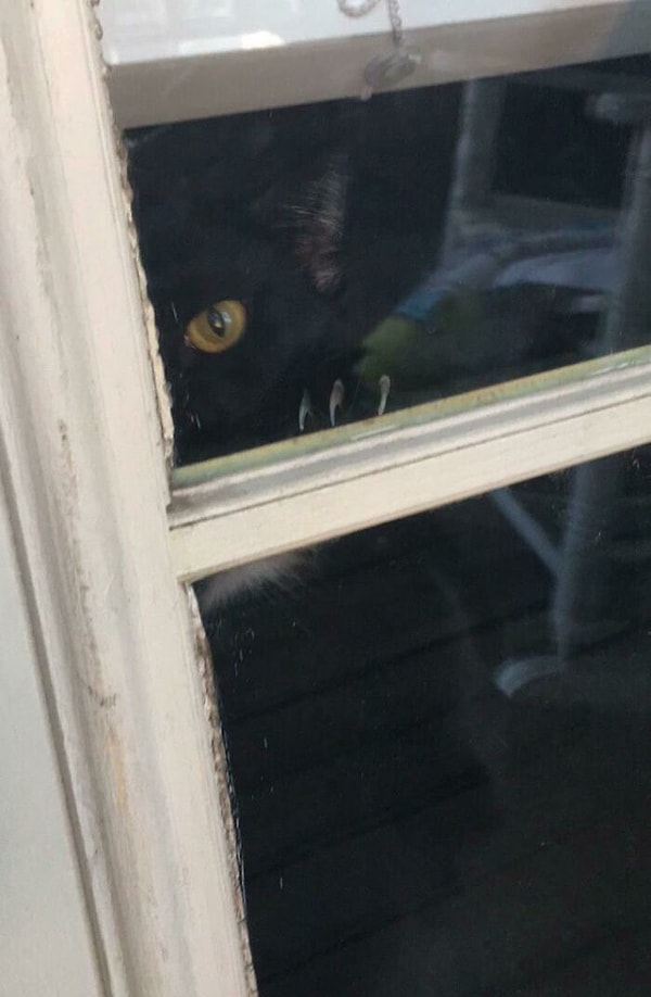 8. Он следит за вами, когда вы спите. Он знает, когда ты просыпаетесь