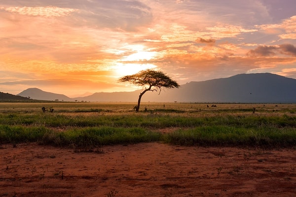 20. Afrika kıtası ile kıyaslayınca küçük görünen bu ülke İngiltere'nin 3 katı büyüklüğe sahiptir.