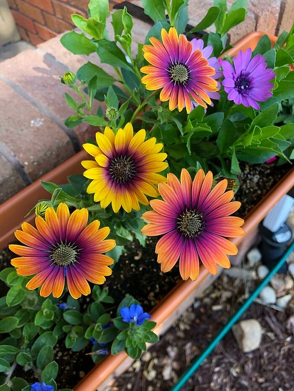 8. Это любовь!