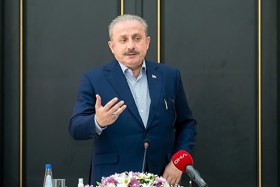 Meclis Başkanı Şentop: 'Tek Adam' Diye İtiraz Edenlere Soruyorum, Size Göre Kaç Olması Lazım? 2, 3, 5, 10?'