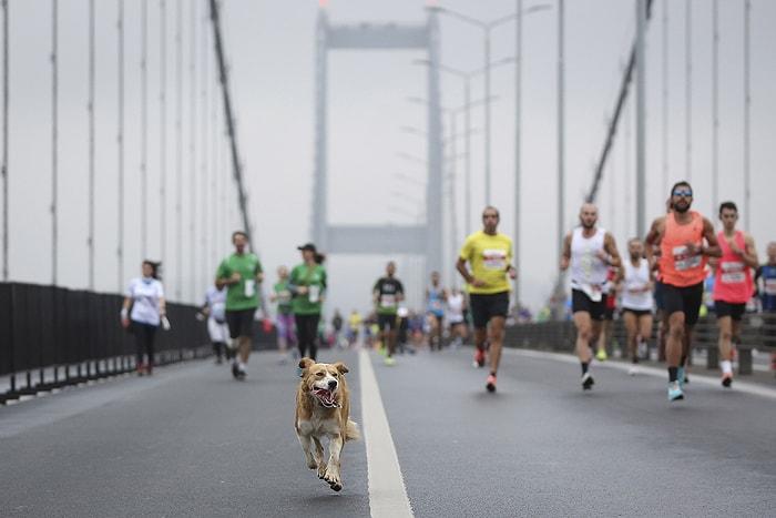 Kazananlar Belli Oldu: İstanbul Maratonu'nundan Objektiflere Yansıyan Kareler 🏃