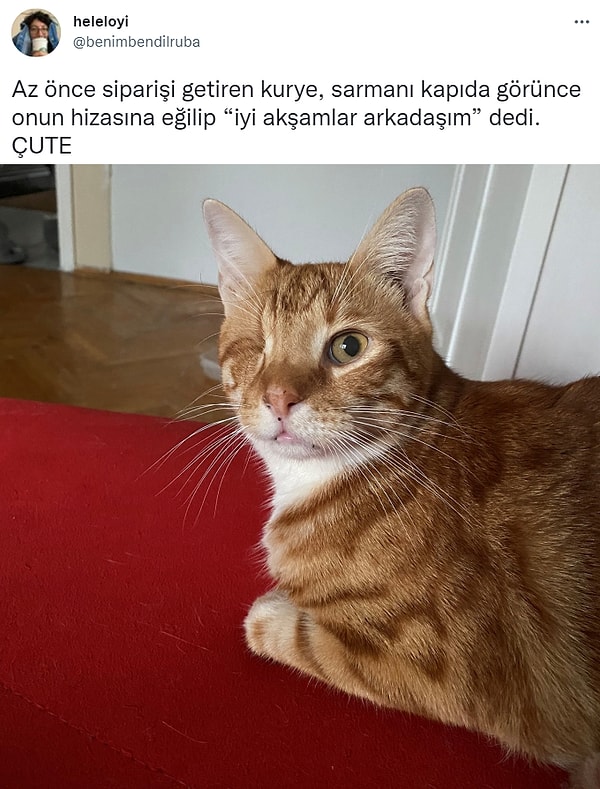 15. Sen nasıl bir güzelliksin arkadaşım? 😍