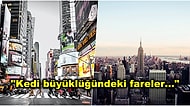 Filmlerde Görünce Hayran Kaldığımız New York'ta Yaşamanın Aslında Nasıl Zorlukları Olduğunu Görmelisiniz