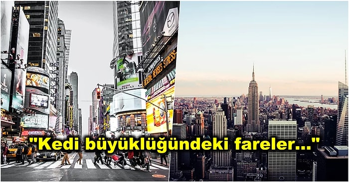 Filmlerde Görünce Hayran Kaldığımız New York'ta Yaşamanın Aslında Nasıl Zorlukları Olduğunu Görmelisiniz