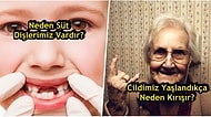 Neden, Niçin, Nasıl? Merak Edilen İlginç Sorulara Verilmiş 12 Aydınlatıcı Cevap