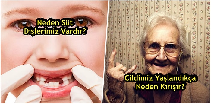 Neden, Niçin, Nasıl? Merak Edilen İlginç Sorulara Verilmiş 12 Aydınlatıcı Cevap