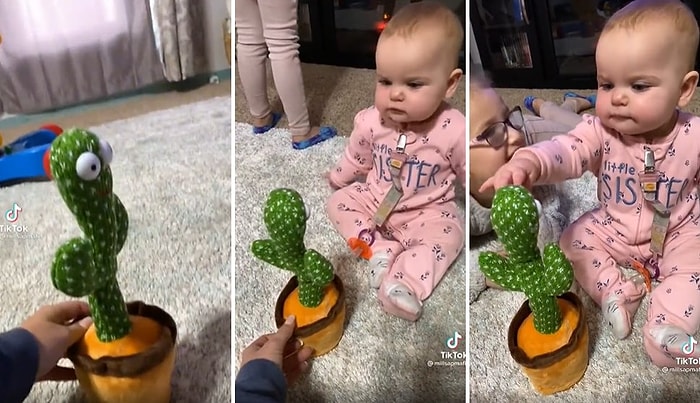 Dans Eden Kaktüs Oyuncakla Konuşmaya Çalışan Ufaklığın İzlerken Pamuk Gibi Olacağınız Anları