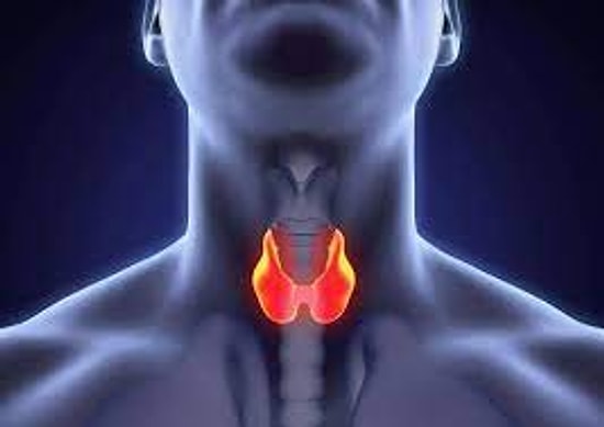 Tiroit İçin Hangi Bölüme/Doktora Gidilir?