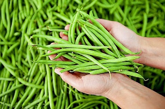 Börülcenin Faydaları Nelerdir? Börülcenin Besin Değerleri Nedir?