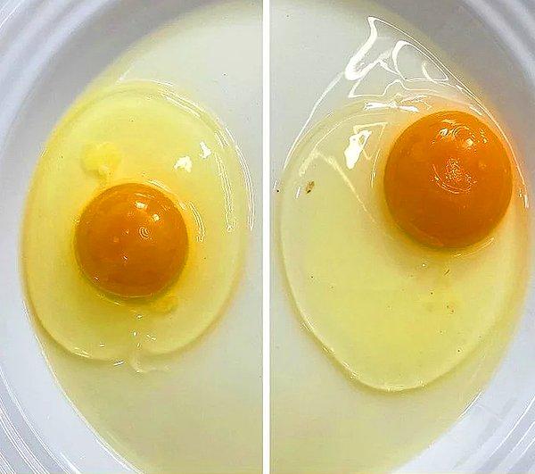 1. Bir yumurta sarısı ortadaysa tazedir.
