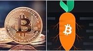 Taproot Güncellemesine Sayılı Gün: Bitcoin (BTC) Ağında Taproot Güncellemesi Neler Vadediyor?
