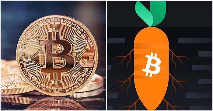 Taproot Güncellemesine Sayılı Gün: Bitcoin (BTC) Ağında Taproot Güncellemesi Neler Vadediyor?