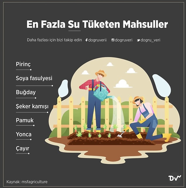 7. En Fazla Su Tüketen Mahsuller