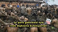 Sonu İnek Dışkısı ile Kutlanarak Biten Geleneksel Hindistan Işık Festivali'nden İlginç Kareler
