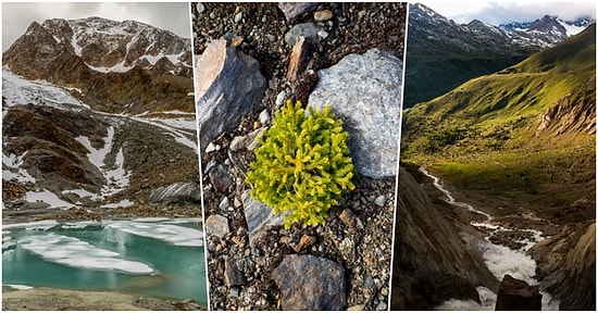 Yükseklikleri ve Yücelikleriyle Gözlerimizi Alan Alplerdeki Buzul Erimesini Gözler Önüne Seren Fotoğraflar