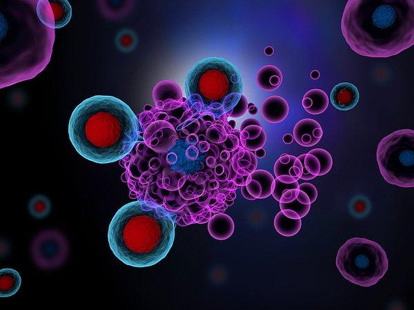 Peki T hücreleri bu savunmayı nasıl yapıyor? Vücudumuzdaki "kiralık katiller" T hücreleri aslında daha önce geçirdiğimiz grip ve soğuk algınlığı enfeksiyonunun oluşturduğu...