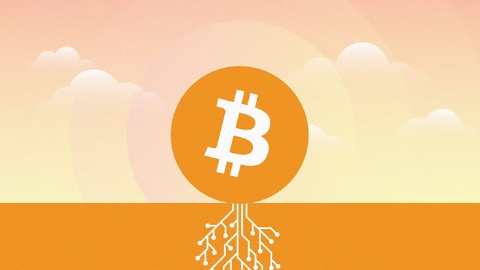 Son 4 Yıldaki En Büyük Bitcoin Güncellemesi Taproot Güncellemesi Gerçekleşti!