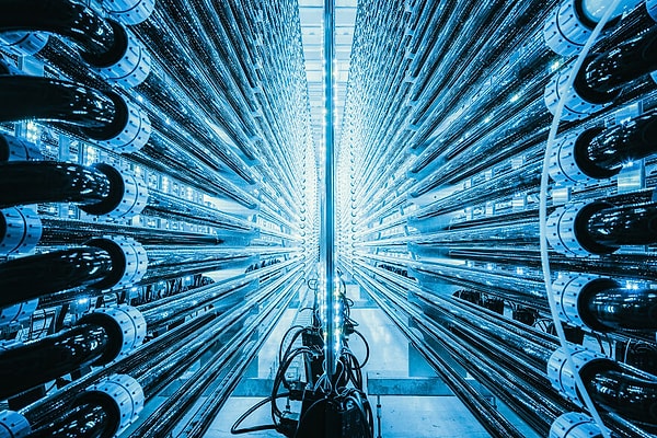 5. Net-Zero Transition: Фотобиореактор, Симоне Трамонте, 2020 г.