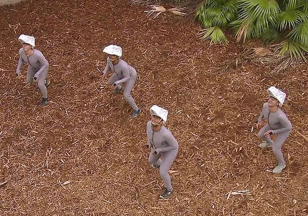 12. В фильмах о "Парке Юрского периода" до добавления компьютерной графики велоцирапторы выглядели так