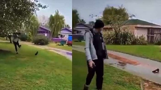 Parkta Bir Kediyi Tekmelemişti: 15 Yaşındaki Çocuk Hayvana İşkenceden Tutuklandı