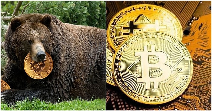 Bitcoin Ayıları Geri mi Dönüyor? İşte Dönüş Yönünde Düzeltme Çizen BTC ile İlgili Detaylar