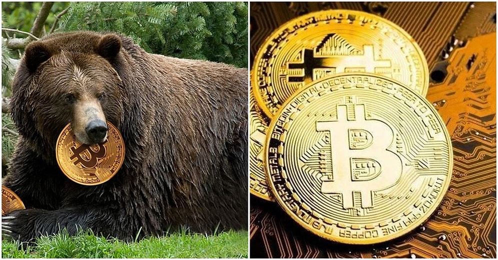 Bitcoin Ayıları Geri mi Dönüyor? İşte Dönüş Yönünde Düzeltme Çizen BTC ile İlgili Detaylar