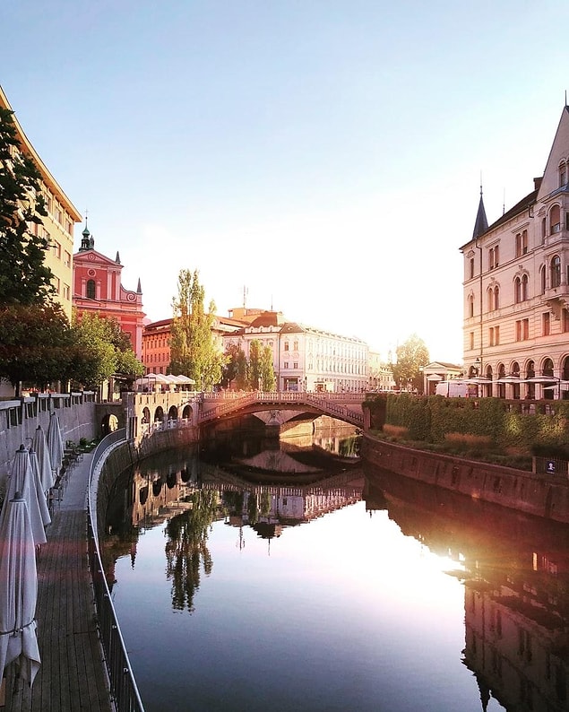 20. Slovenia, Lebanese - $730: