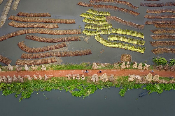 13. Путешествие к устойчивому развитию, Сандипани Чаттопадхьяй, 2021 г.