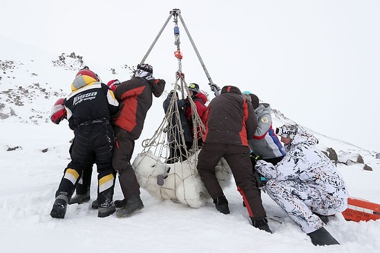 15 запоминающихся работ победителей конкурса «Экологический фотограф года 2021»