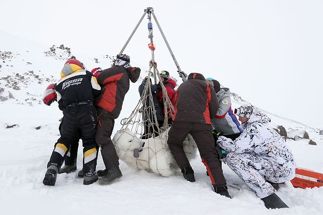 15 запоминающихся работ победителей конкурса «Экологический фотограф года 2021»