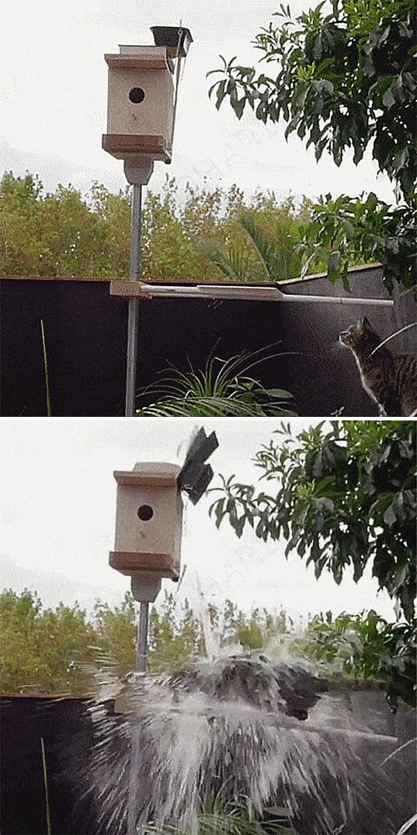 9. Устройство-ловушка "Скворечник"