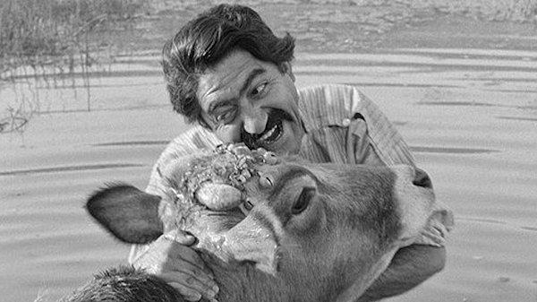 2. The Cow (Gaav - 1969)
