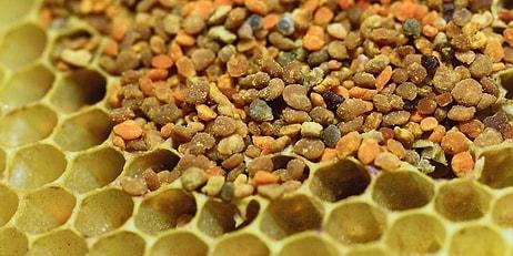 Arı Poleni Nasıl Kullanılır? Arı Poleni Faydaları Ve Kullanımı...