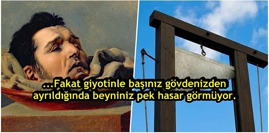 Şu an Kafanız Kopsa Neler Olurdu? ‘Başınızdan’ Geçecekleri Adım Adım Anlatıyoruz